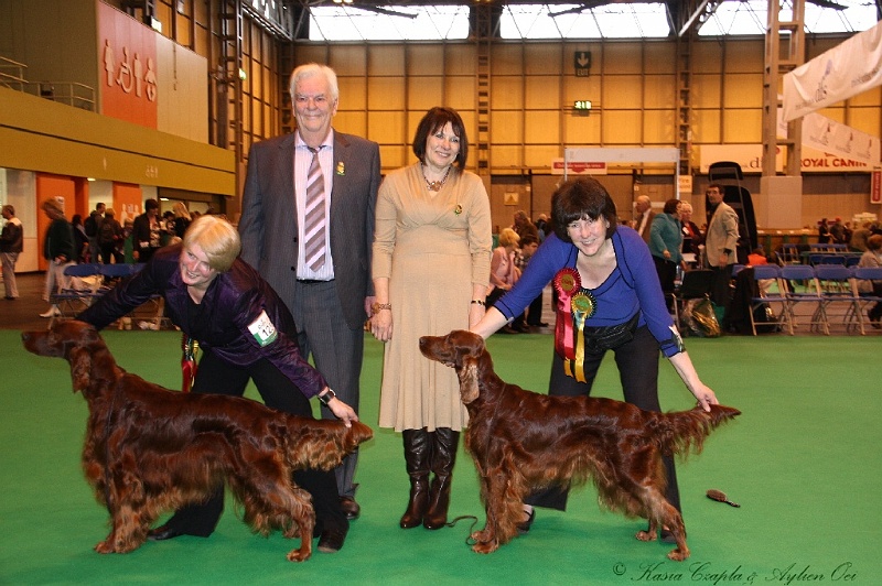 Crufts2011_2 201.jpg